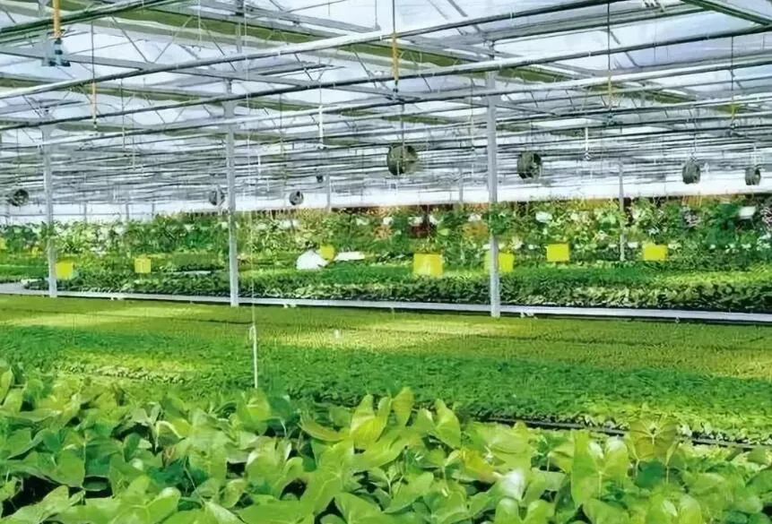 1637287310574960.jpg 3.jpg