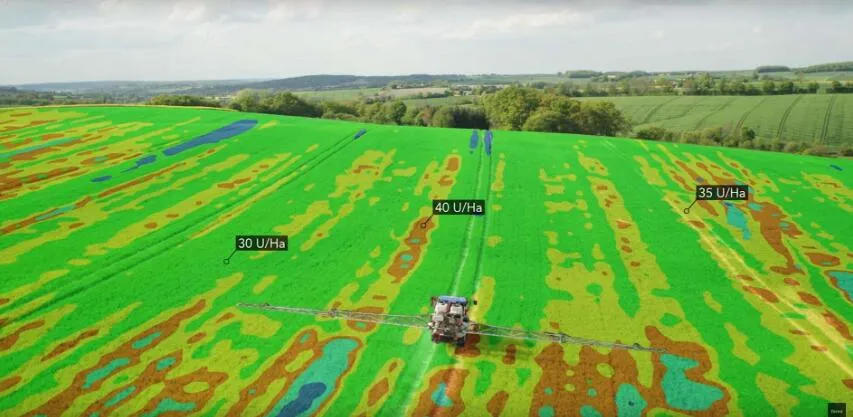 1637287344401518.jpg 4.jpg