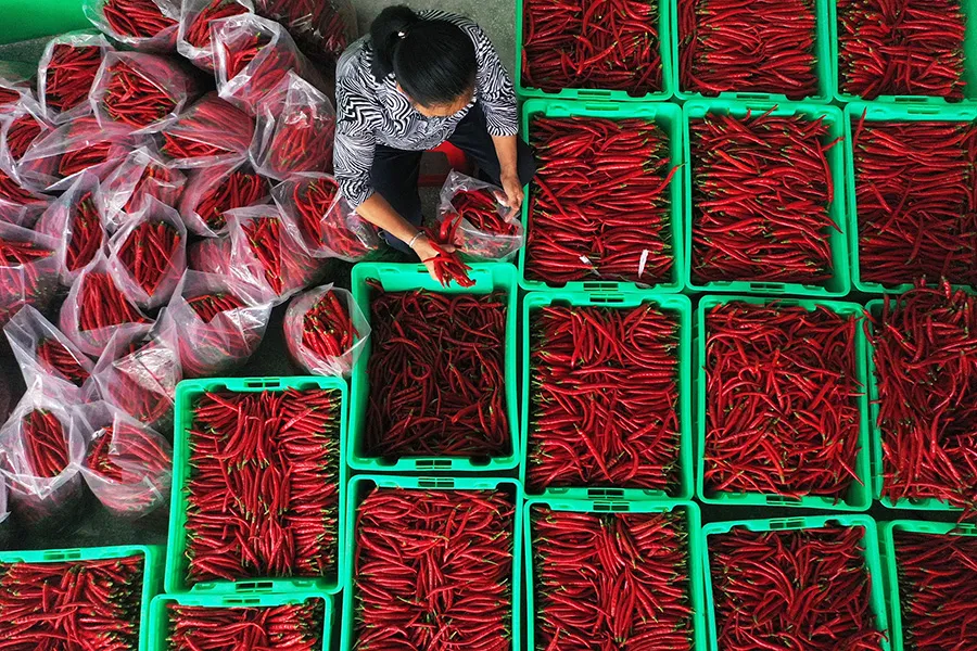 1639470786799525.jpg 1.jpg