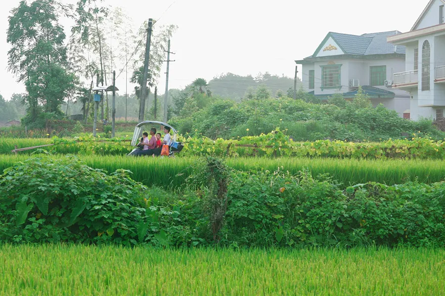 1639470815703211.jpg 2.jpg